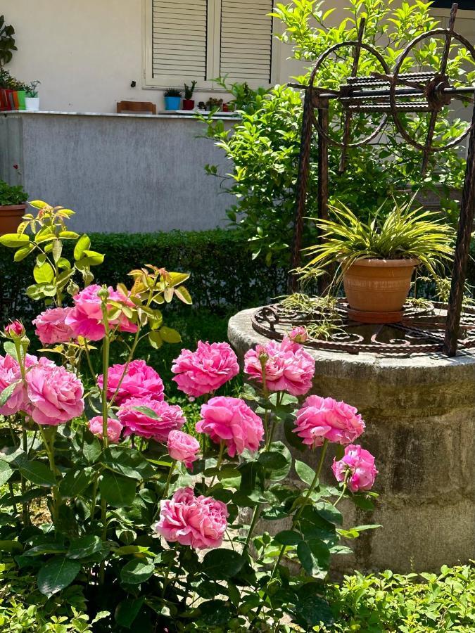 Js House Shkoder 1 Appartement Buitenkant foto