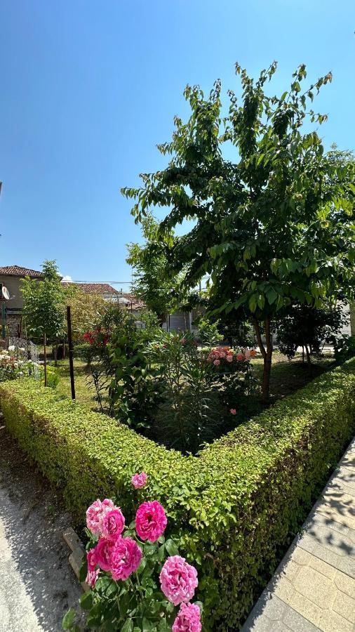 Js House Shkoder 1 Appartement Buitenkant foto